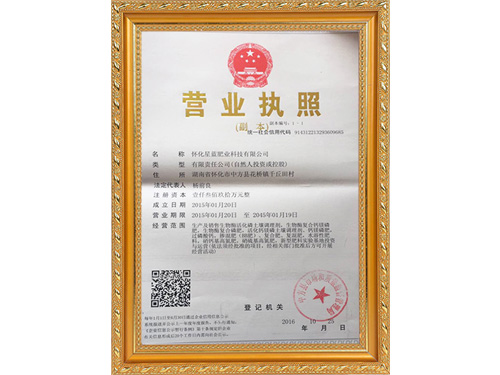 荣誉资质4