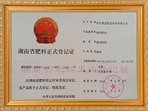 荣誉资质3