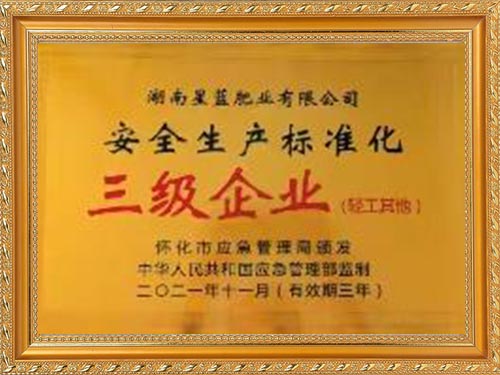 2021年11月安全生产标准化三级企业（轻工其他）