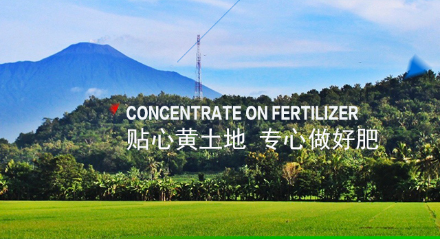 湖南星蓝肥业有限公司_怀化磷化工|怀化肥料|掺混肥
